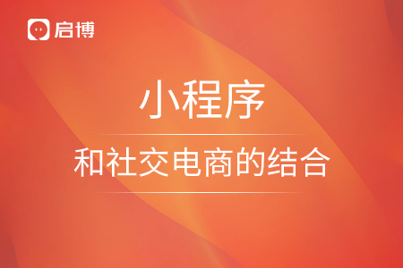 谈谈小程序和社交电商的结合